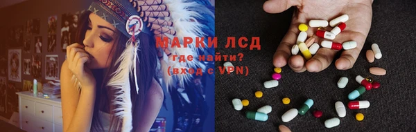 спиды Нефтекумск