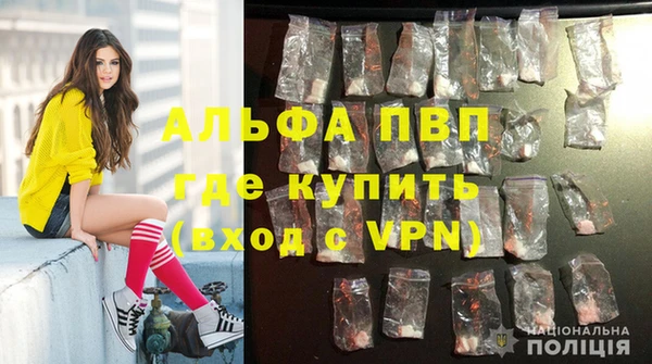 спиды Нефтекумск