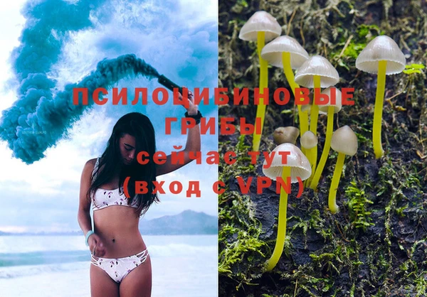 спиды Нефтекумск