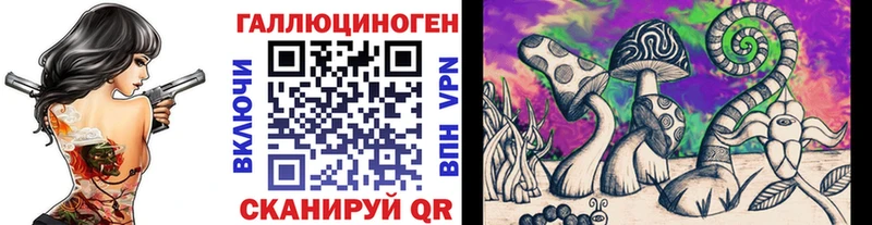 Псилоцибиновые грибы Psilocybe  Купить закладки  Цимлянск 
