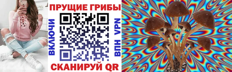 Псилоцибиновые грибы мицелий Цимлянск